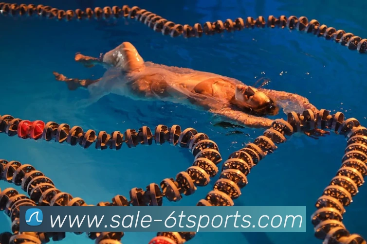 6T体育平台生态图